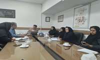جلسه بررسی احصا الکترونیک آمار  